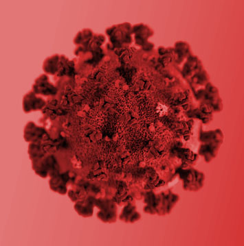 Coronavirus Resources